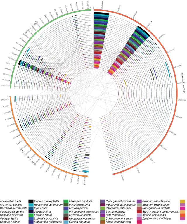 Genomes, Life and Wealth 1 a9wkgk