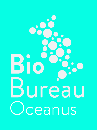 BioB OCN N